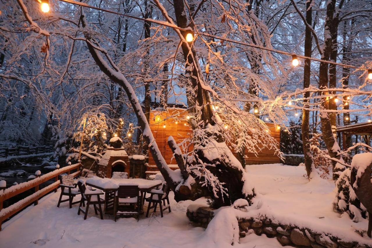 De La Villa Brezovica Kültér fotó
