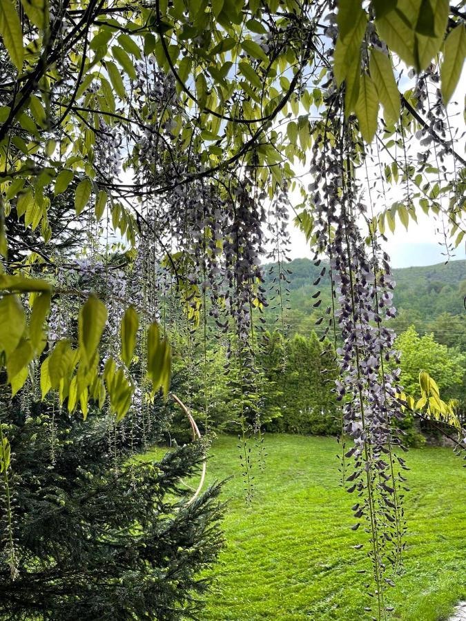 De La Villa Brezovica Kültér fotó